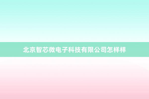 北京智芯微电子科技有限公司怎样样